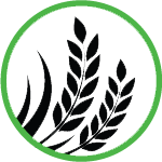Field Corps Icon