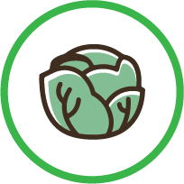 Cabbage Icon