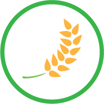 Wheat Icon