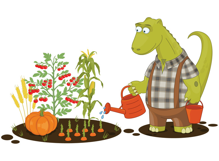 Organic Fertilizer Dino Garden Agriculutre