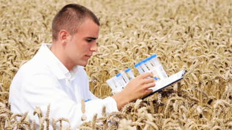 Quality Control Agriculutre